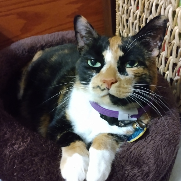 We like reasonable offers😻 - Picture 1 of 4